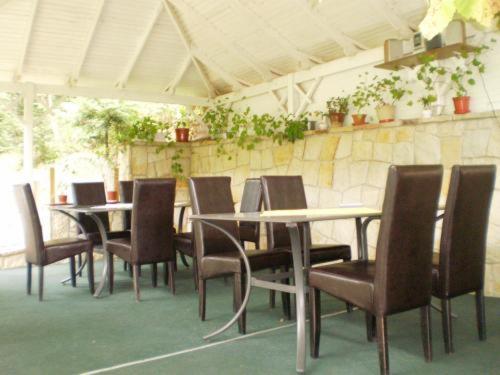 Pension Casa Alba Slanic Moldova Ngoại thất bức ảnh