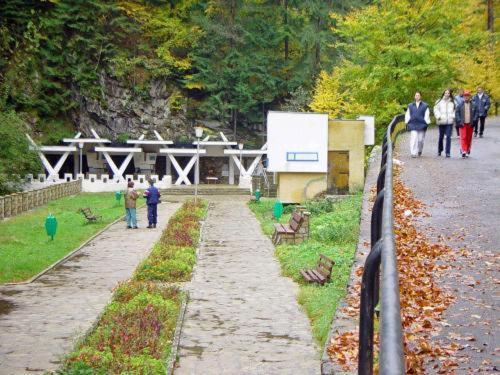 Pension Casa Alba Slanic Moldova Ngoại thất bức ảnh