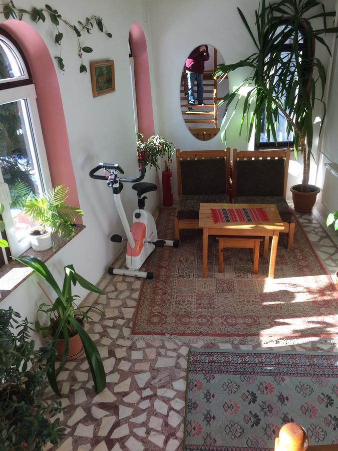 Pension Casa Alba Slanic Moldova Ngoại thất bức ảnh